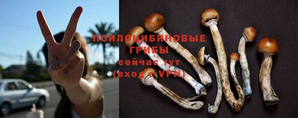 ПСИЛОЦИБИНОВЫЕ ГРИБЫ Арсеньев