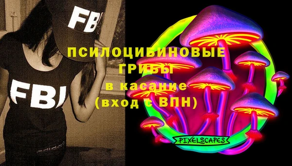 крисы Снежногорск