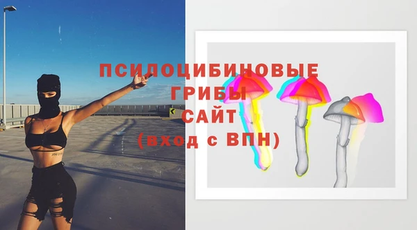 ПСИЛОЦИБИНОВЫЕ ГРИБЫ Арсеньев