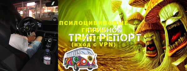 ПСИЛОЦИБИНОВЫЕ ГРИБЫ Арсеньев