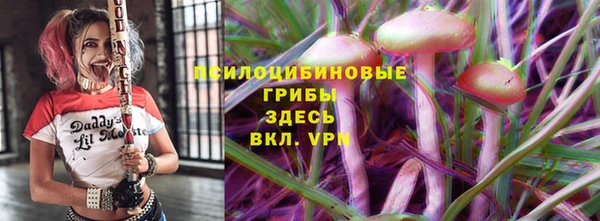 apvp Аркадак